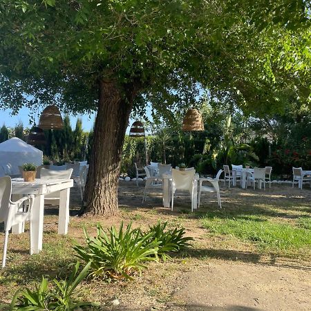 Alma Zahora Otel Barbate Dış mekan fotoğraf